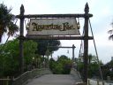 DSC00043.JPG