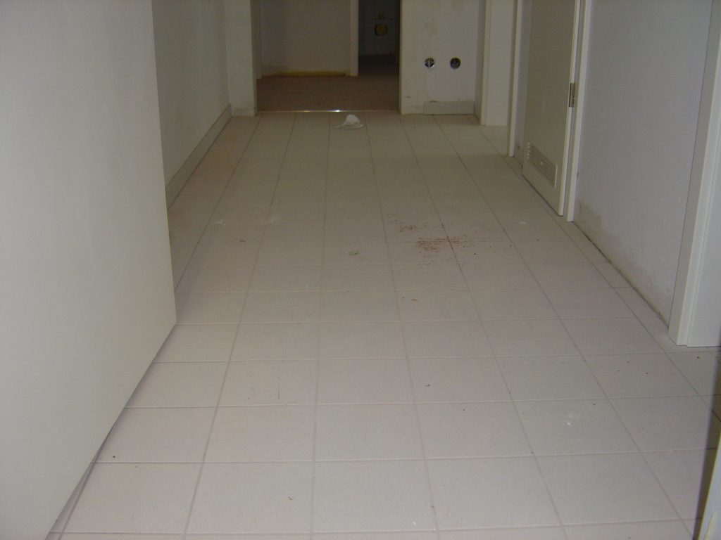 DSC00604.JPG