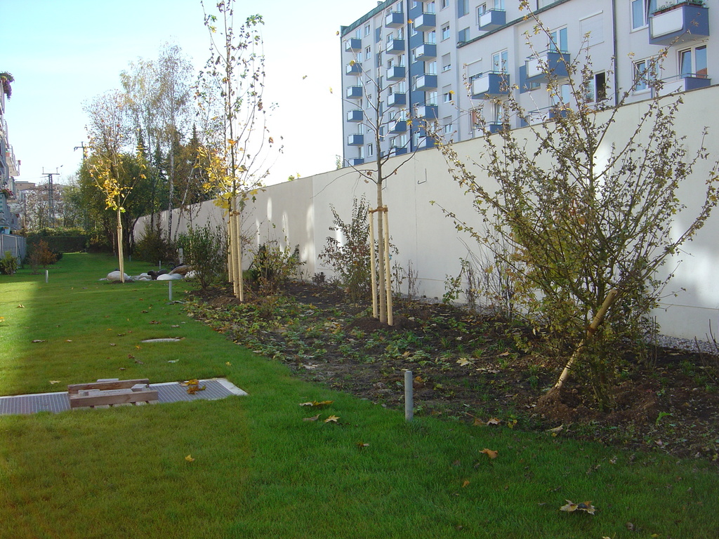 DSC00867.JPG