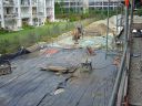 DSC00283.JPG