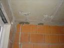 DSC00383.JPG