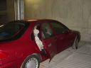 Dateiname=DSC00797.JPG
Dateigröße=368KB
Abmessungen: 1024x768
hinzugefügt am: 10. Januar 2016 DSC00797.JPG