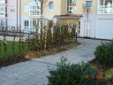 Dateiname=DSC00877.JPG
Dateigröße=498KB
Abmessungen: 1024x768
hinzugefügt am: 10. Januar 2016 DSC00877.JPG
