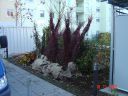 Dateiname=DSC00880.JPG
Dateigröße=474KB
Abmessungen: 1024x768
hinzugefügt am: 10. Januar 2016 DSC00880.JPG
