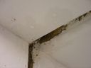 Dateiname=DSC00896.JPG
Dateigröße=272KB
Abmessungen: 1024x768
hinzugefügt am: 10. Januar 2016 DSC00896.JPG